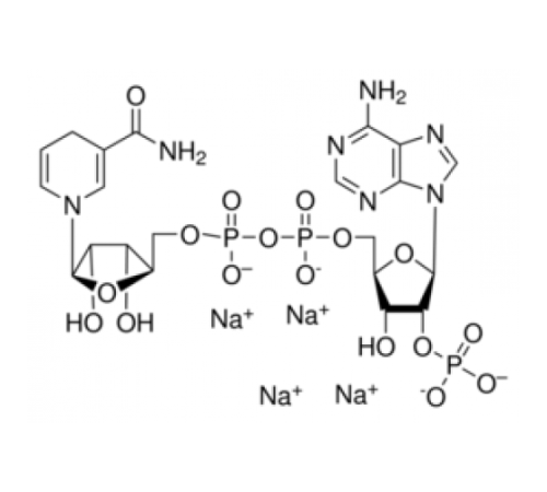Гидрат тетранатриевой соли -никотинамидадениндинуклеотид 2'-фосфат восстановленный 95% (ВЭЖХ) Sigma N6505