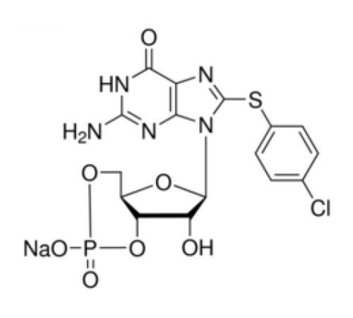 8- (4-Хлорфенилтиоβгуанозин 3 ', 5'-циклическая натриевая соль монофосфата 95% (ВЭЖХ), порошок Sigma C5438