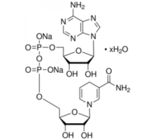 -Никотинамидадениндинуклеотид, восстановленный гидрат динатриевой соли 97,0% (ВЭЖХ) Sigma 43420