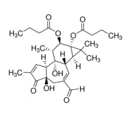 20-дезокси-20-оксофорбол 12,13-дибутират Sigma P5026