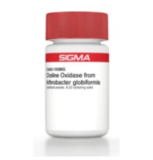 Холиноксидаза от Alcaligenessp. лиофилизированный порошок, 10 единиц / мг твердого вещества Sigma C5896