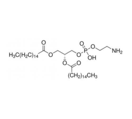 1,2-дипальмитоил-sn-глицеро-3-фосфоэтаноламин 97% Sigma P1348