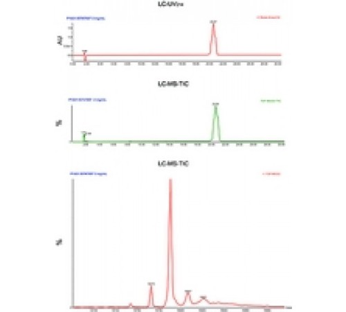 Кальмодулин из семенников крупного рогатого скота BioUltra, 98% (SDS-PAGE), лиофилизированный порошок Sigma P1431