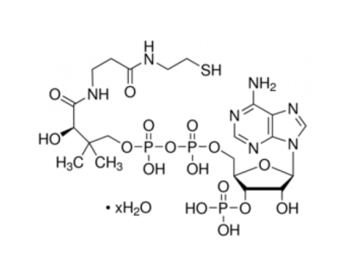 Коэнзим A гидрат 85% (УФ, ВЭЖХ) Sigma C4282