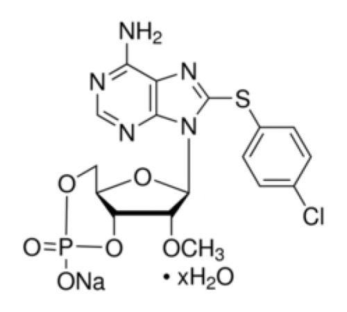 8- (4-хлорфенилтиоβ2'-O-метиладенозин 3 ', 5'-циклический монофосфат мононатрийгидрат 98% (ВЭЖХ) Sigma C8988