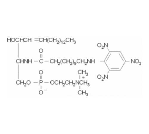 TNPAL-сфингомиелин 1 мкг / мл в смеси хлороформ / метанол (2: 1) Sigma T1014