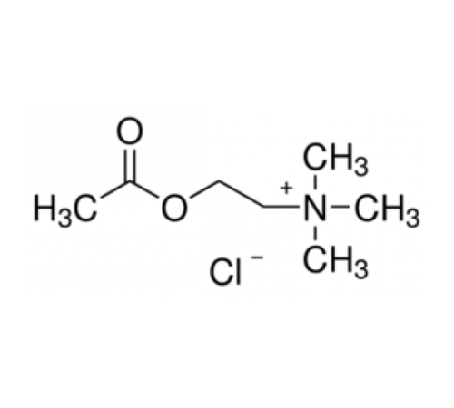 Ацетилхолин хлорид, упаковка по 150 мкг (на флакон) Sigma A9101