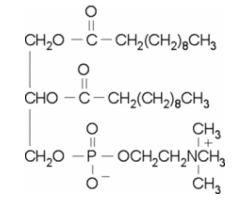 1,2-диундеканоил-sn-глицеро-3-фосфохолин ~ 99% Sigma P8898