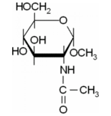 Метил N-ацетиββ D-глюкозаминид Sigma M0257