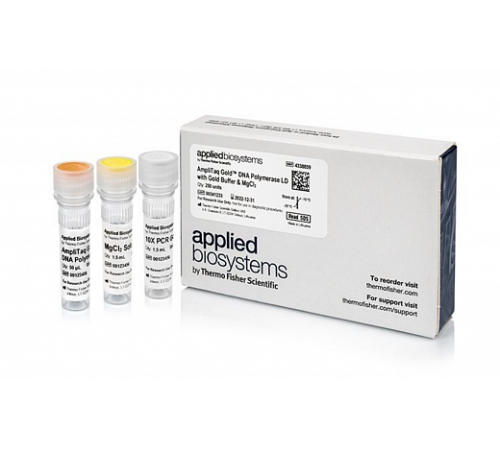 ДНК-полимераза AmpliTaq Gold DNA Polymerase LD (Low DNA) with Gold Buffer and MgCl2, Thermo FS