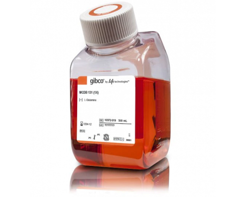 Среда MCDB-131 низкое содержание глюкозы, без глутамина, с пируватом, с феноловым красным, без ХЕПЕС, Thermo FS