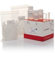 Набор PureLink PCR Micro Kit, Thermo FS