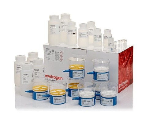 Набор PureLink Expi Endotoxin-Free Mega Plasmid Purification Kit, Thermo FS